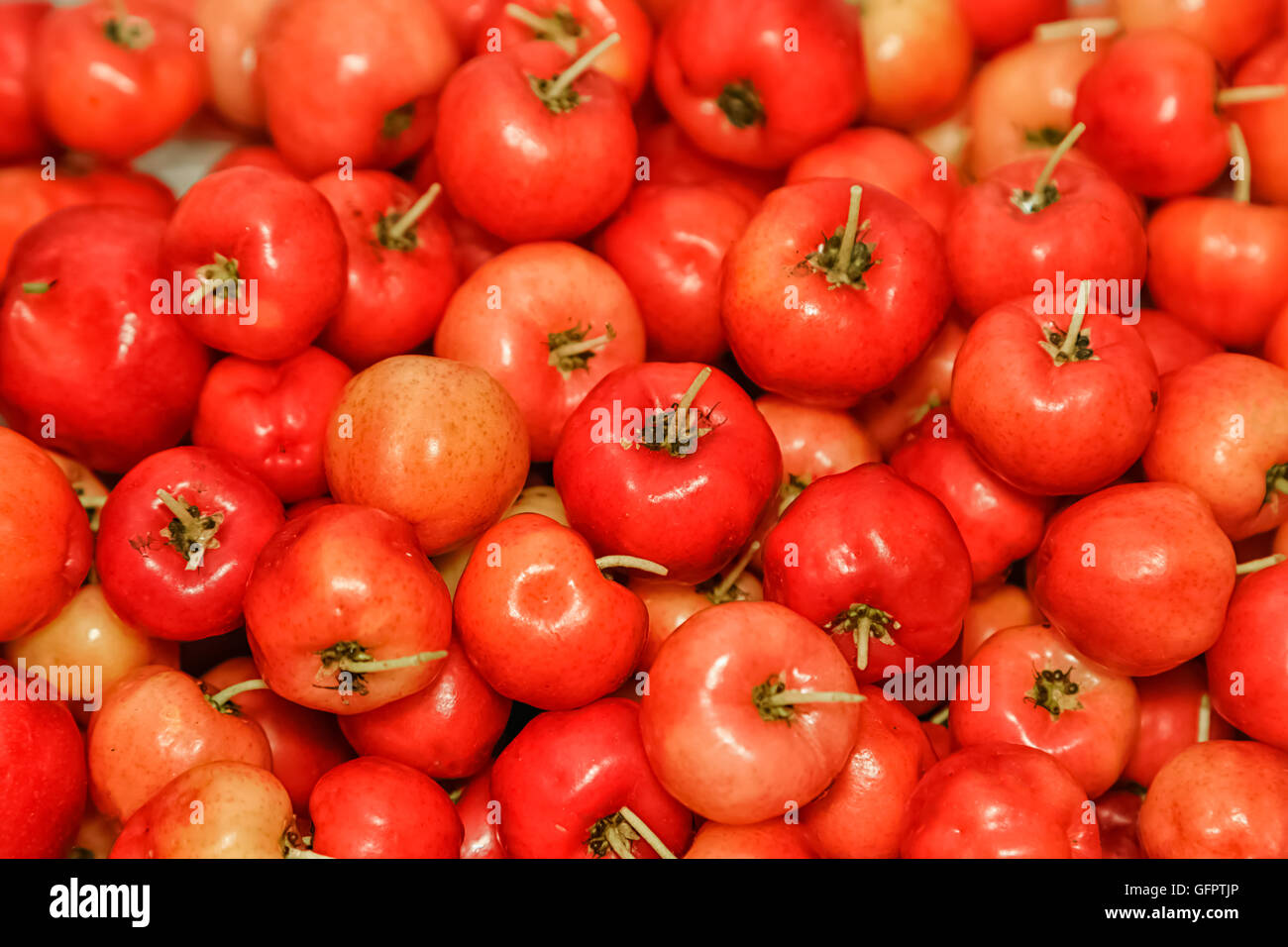 Malpighia glabra (red acerola), tropical fruit background Stock Photo