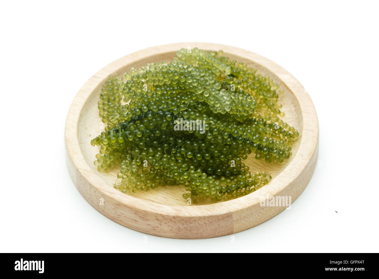 Sea grapes ( green caviar ) seaweed Stock Photo