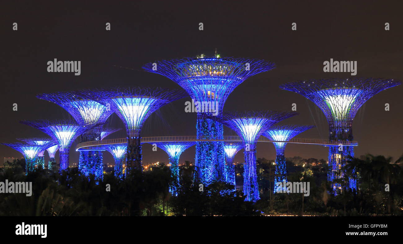 Gardens by the bay Supertree Grove in Singapore. Stock Photo