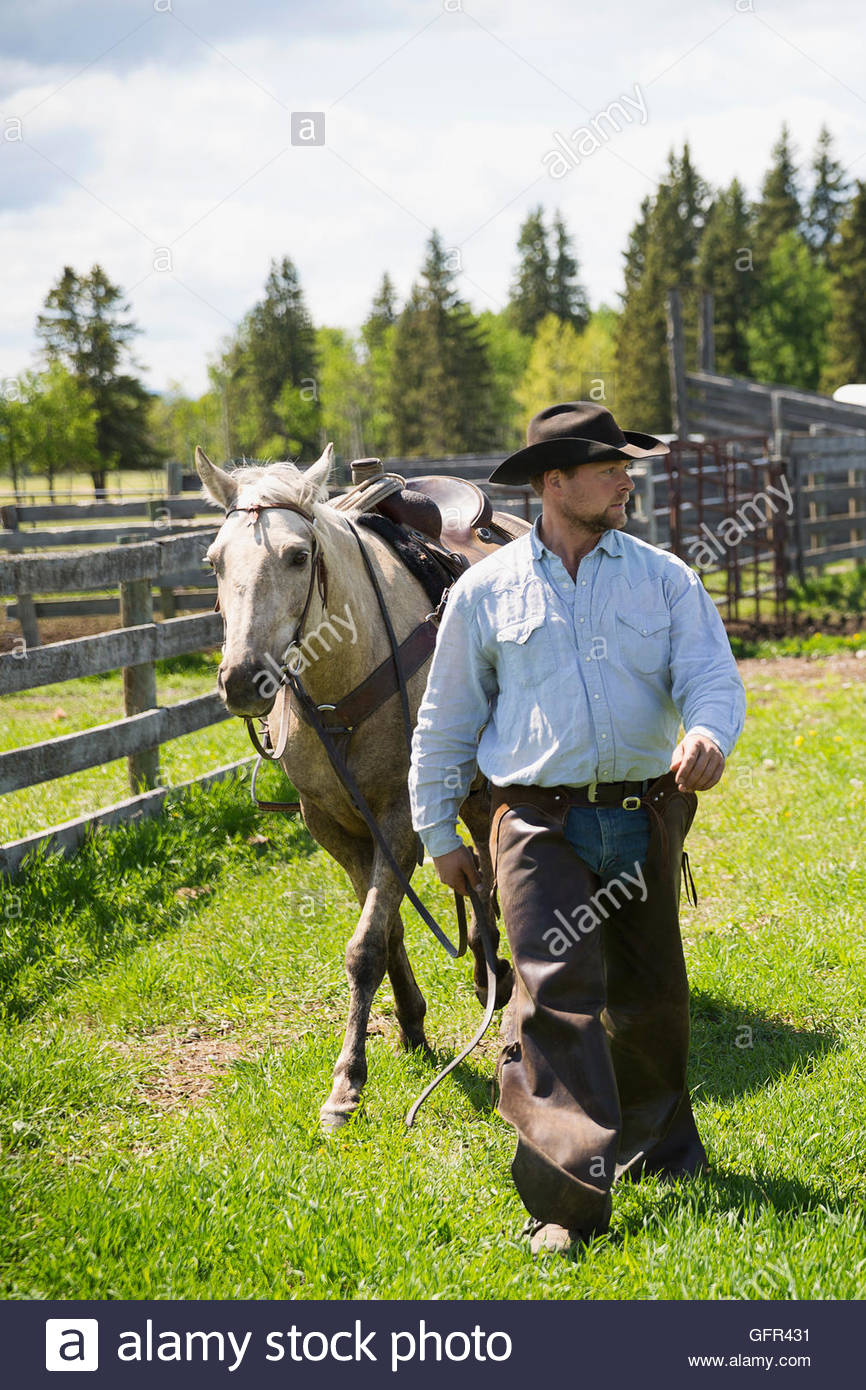 Cattle ranch horse hi-res stock photography and images - Alamy