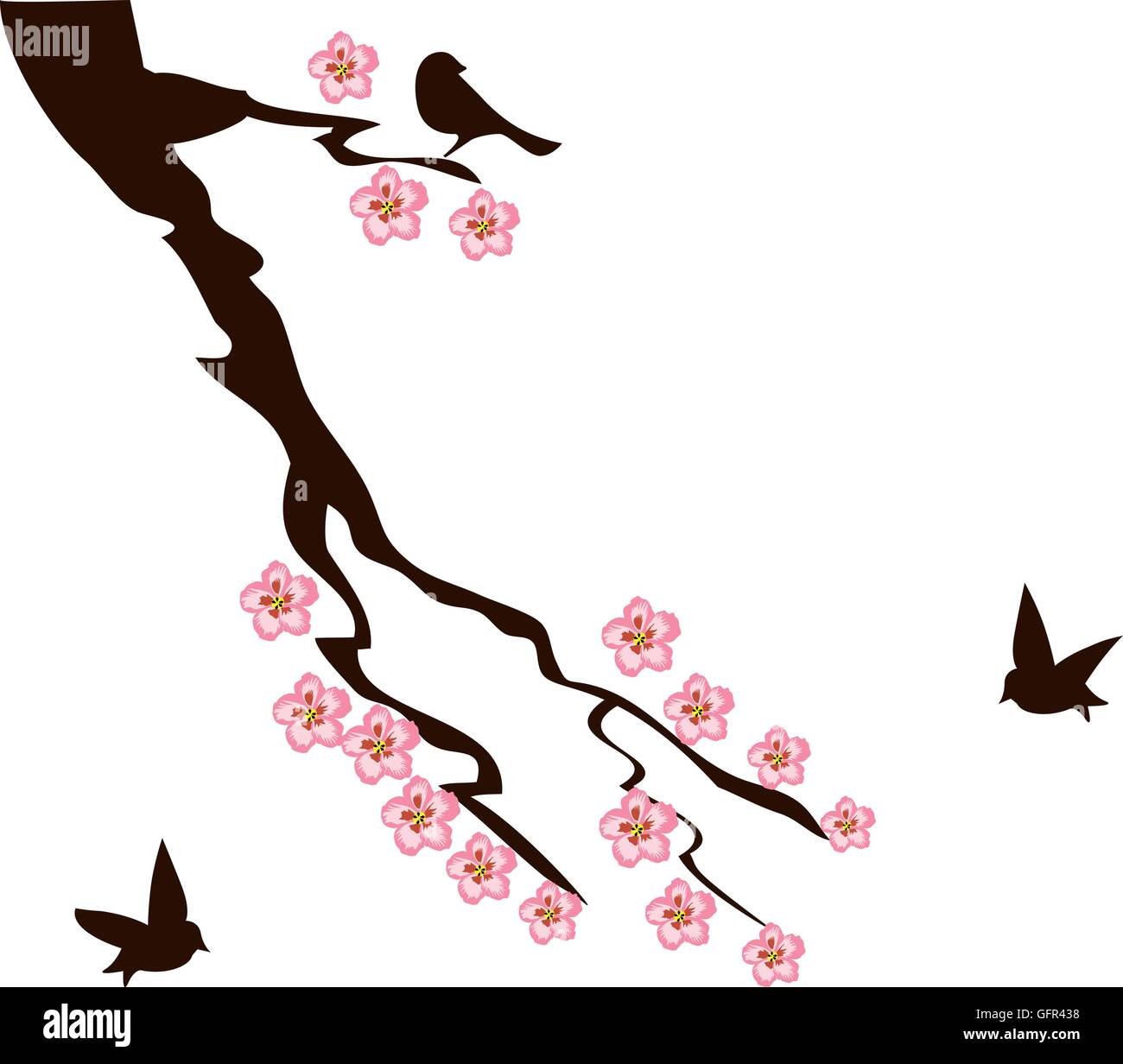 vector illustration of cherry blossom branch with birds Stock Vector Image & Art Alamy