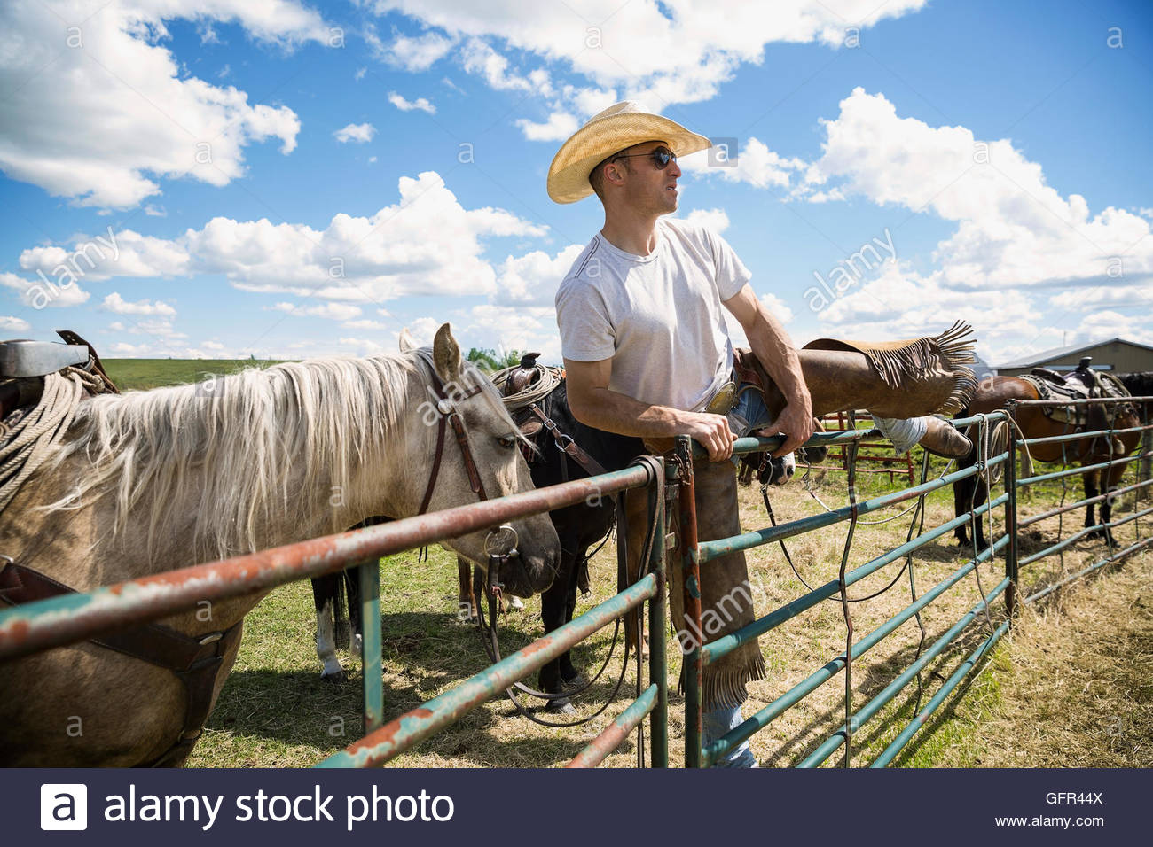 Cattle rancher with horses straddling gate Stock Photo Alamy