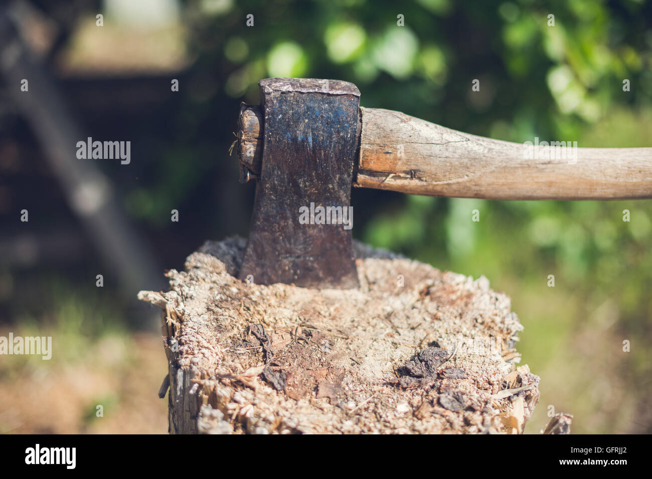 Axe in Piece of Log Wood Stock Photo