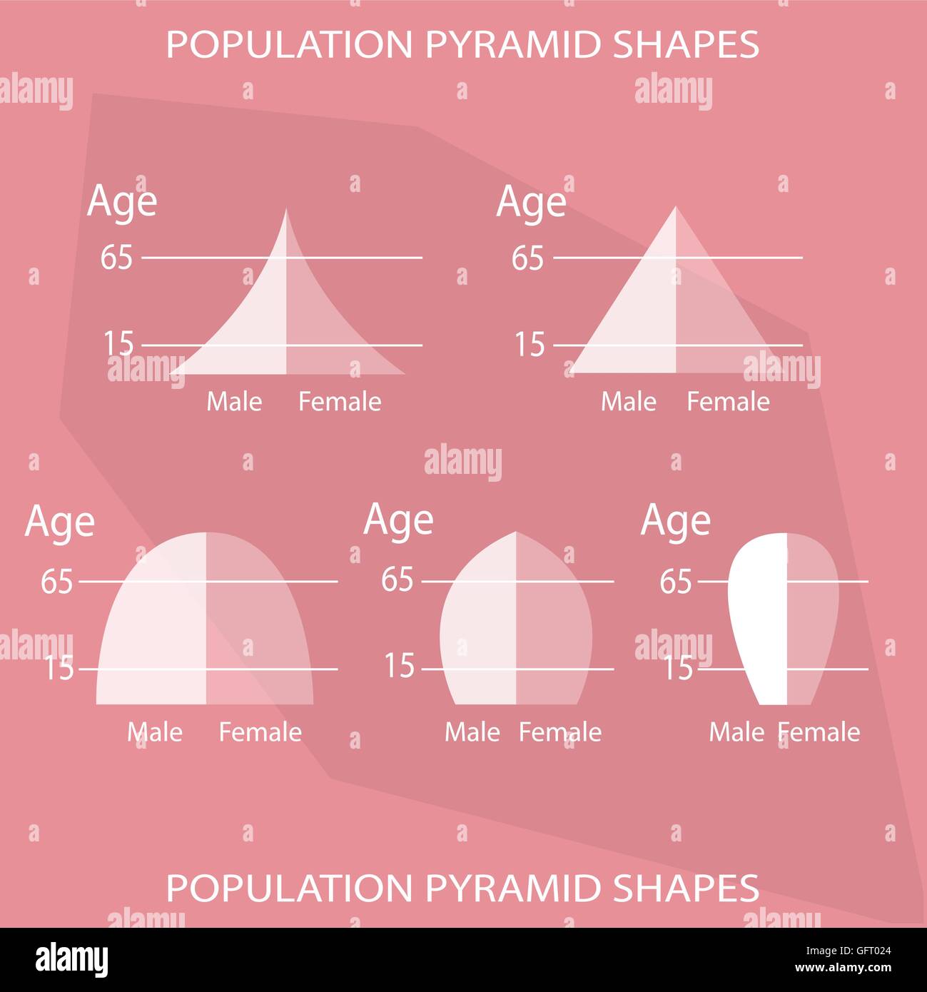 Different Types Of Population Pyramids