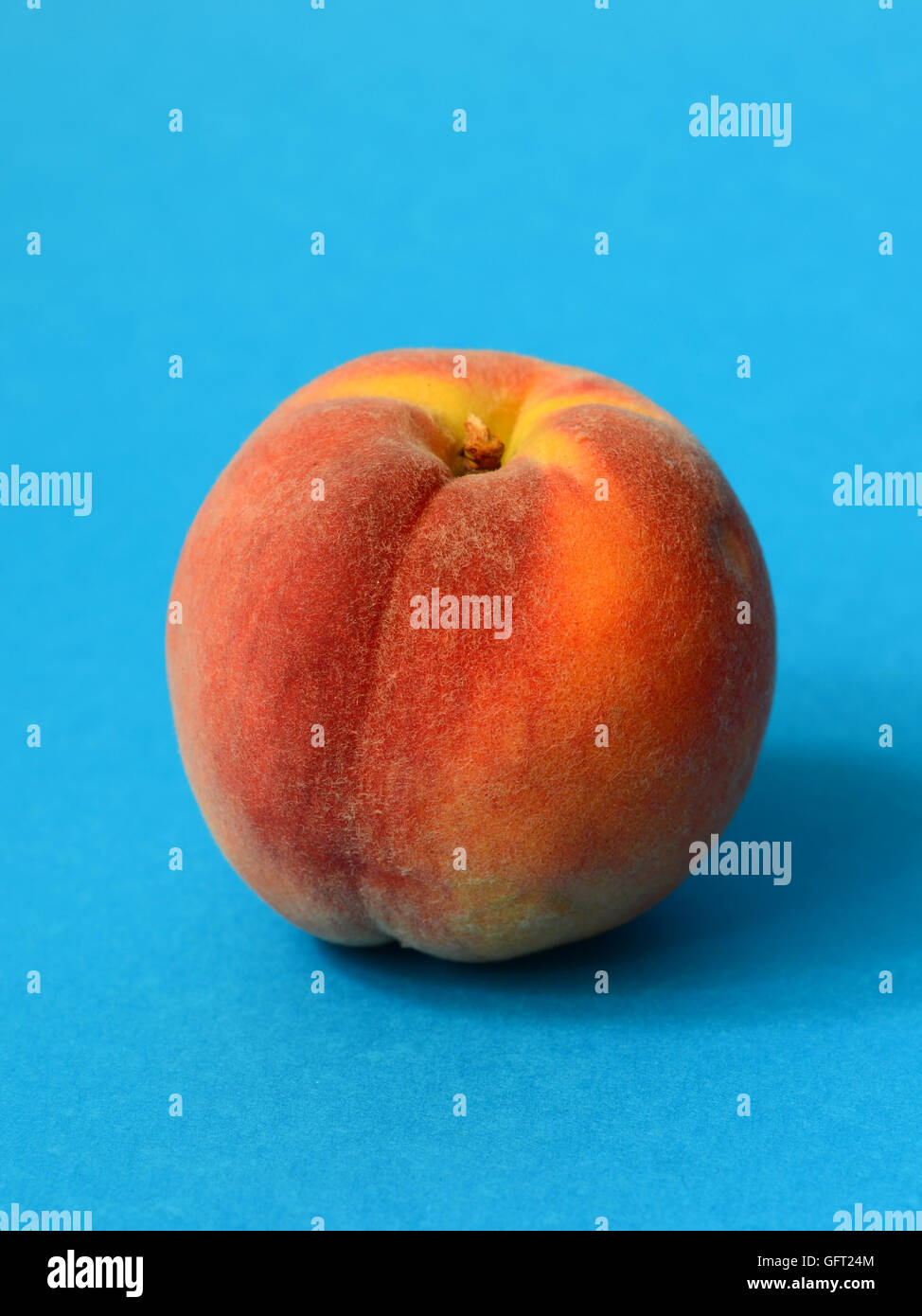 One ripe peach on a blue background Stock Photo