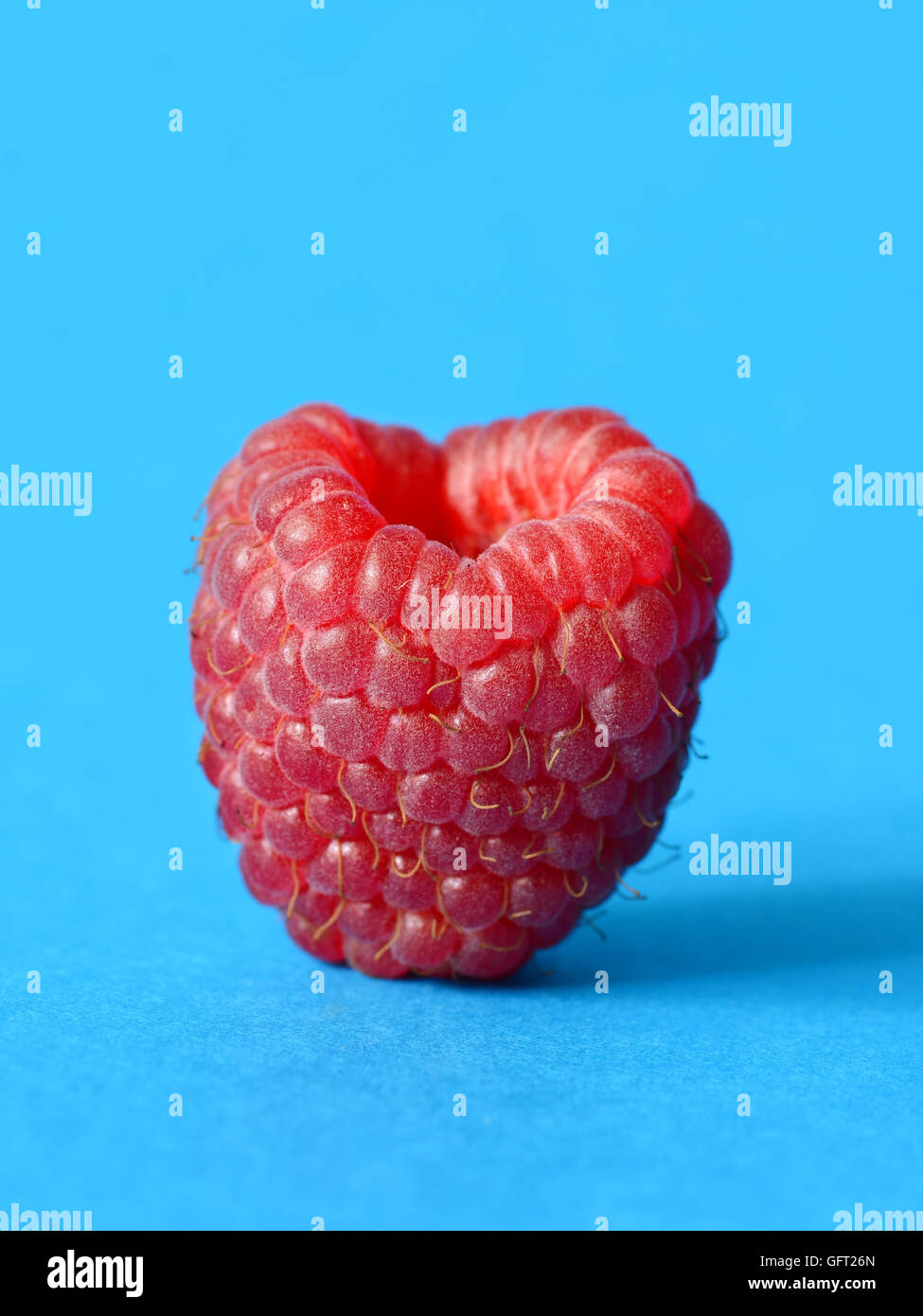 One fresh raspberry on a blue background Stock Photo - Alamy