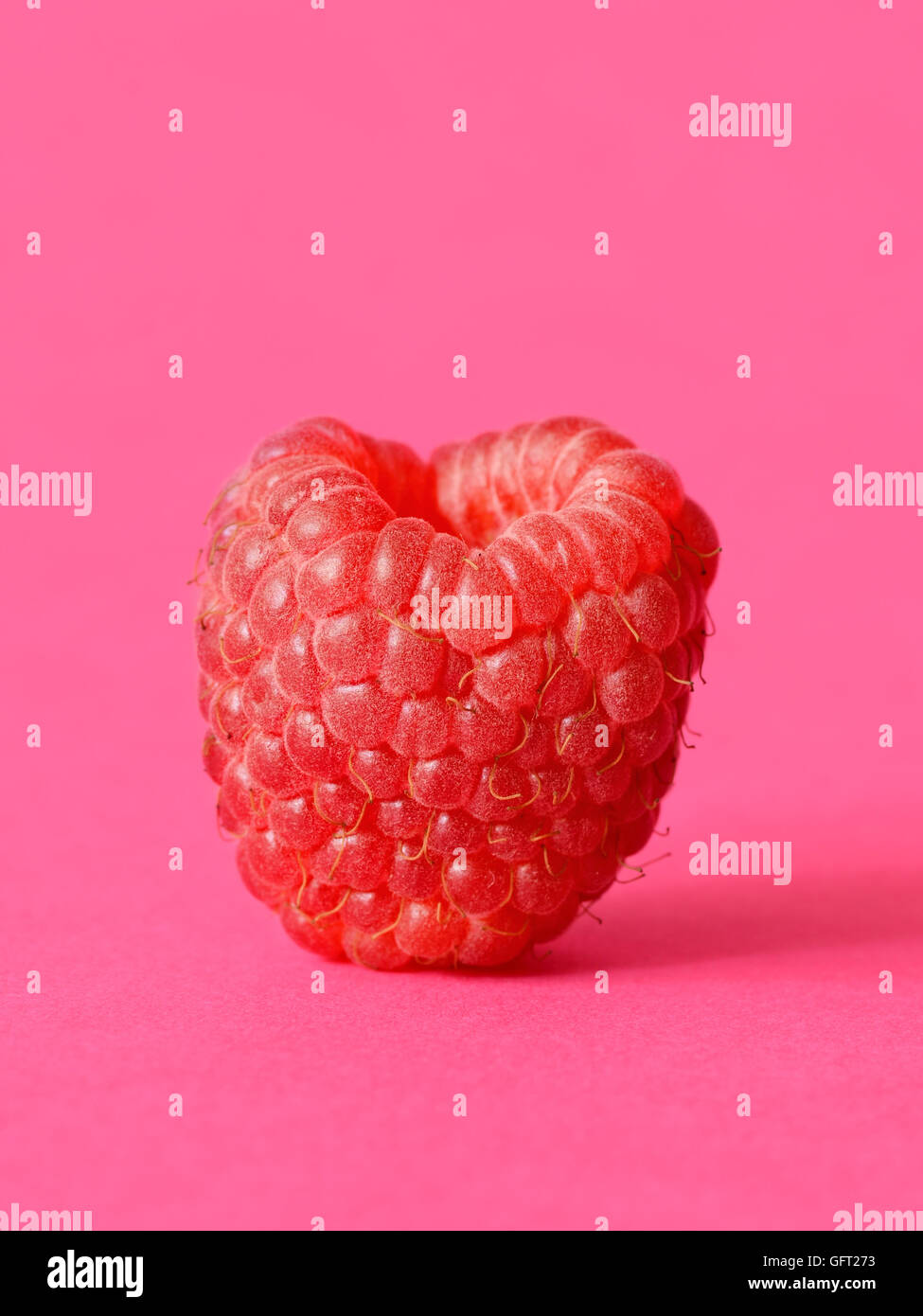 Paspberry Pink One fresh raspberry on a pink background Stock Photo - Alamy