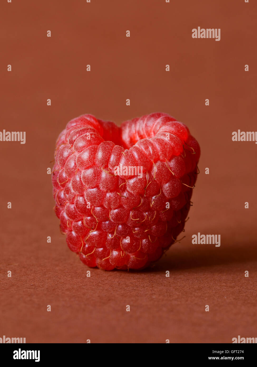 One fresh raspberry on a brown background Stock Photo - Alamy