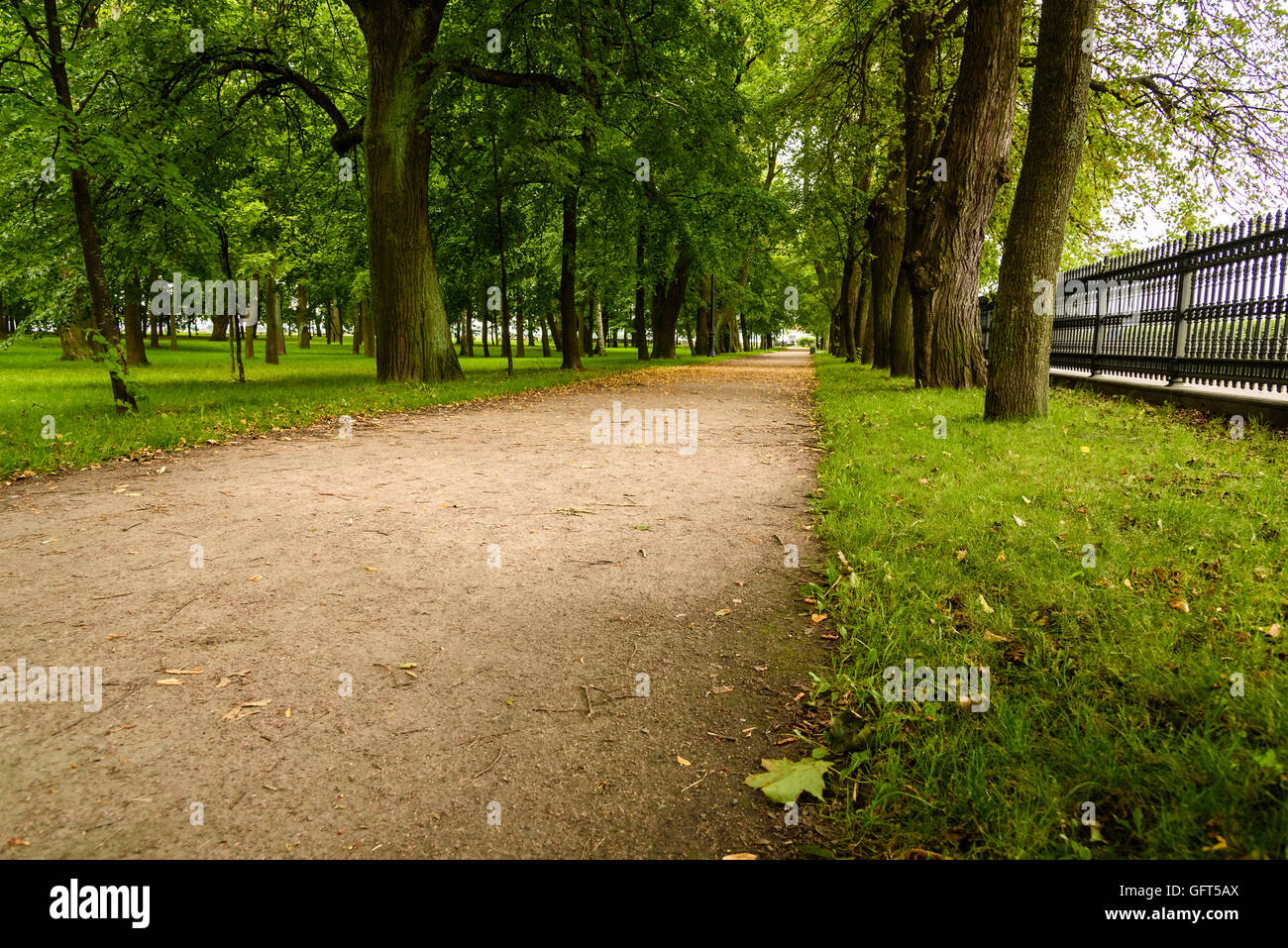 beautiful alley in the Park in cloudy summer day Stock Photo - Alamy