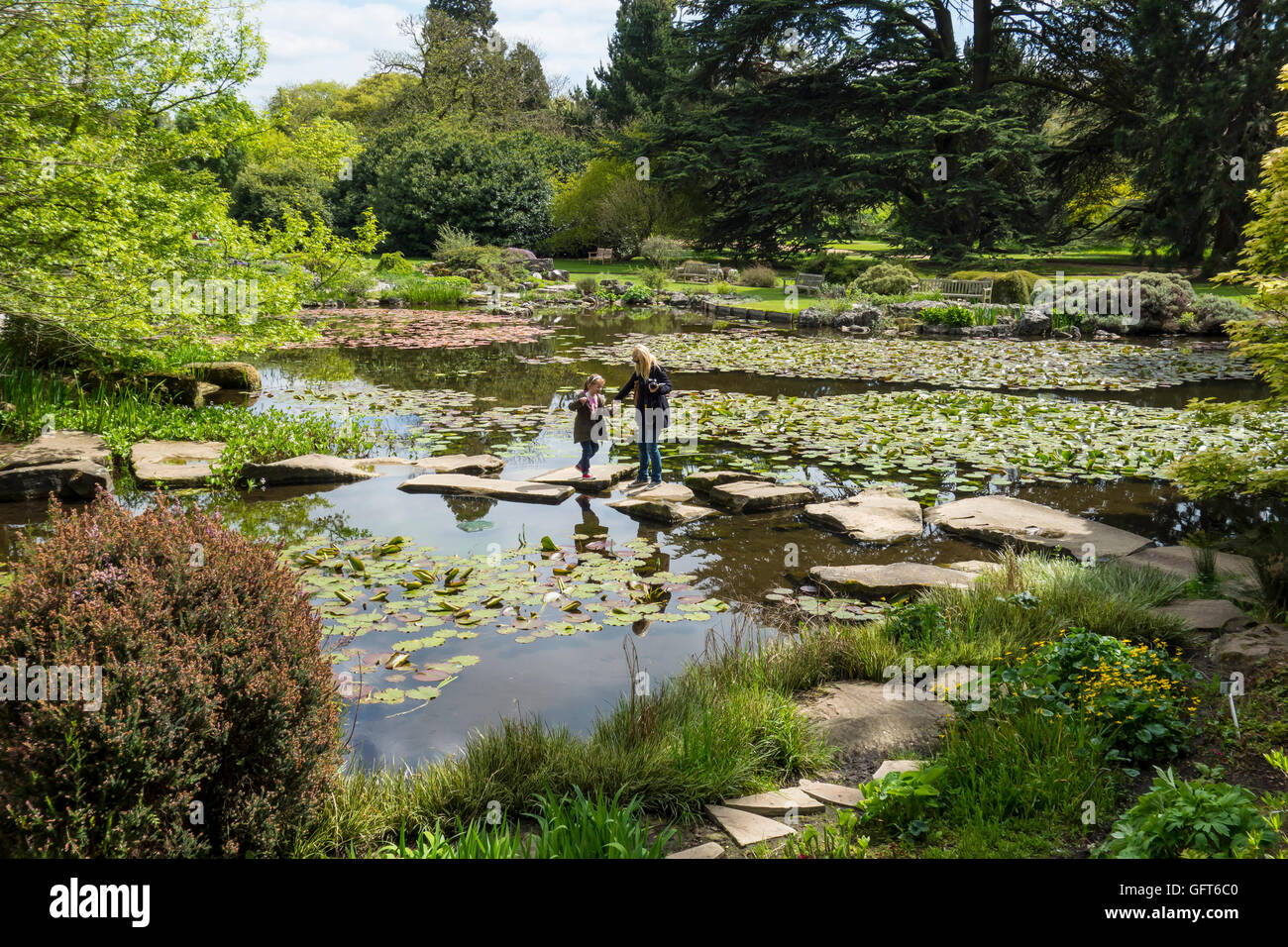Mother and Daughter Stepping Stones Lake Cambridge Botanic Garden Stock Photo