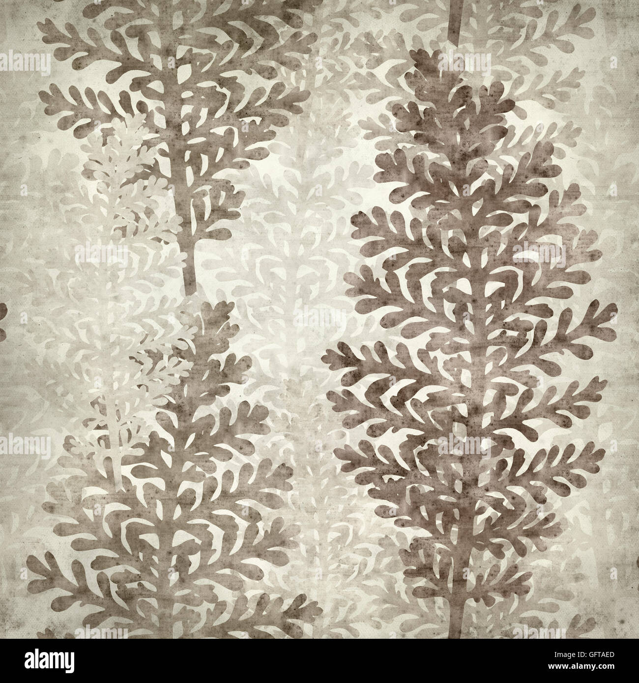 textured old paper background with leaves of silver lace plant Stock Photo