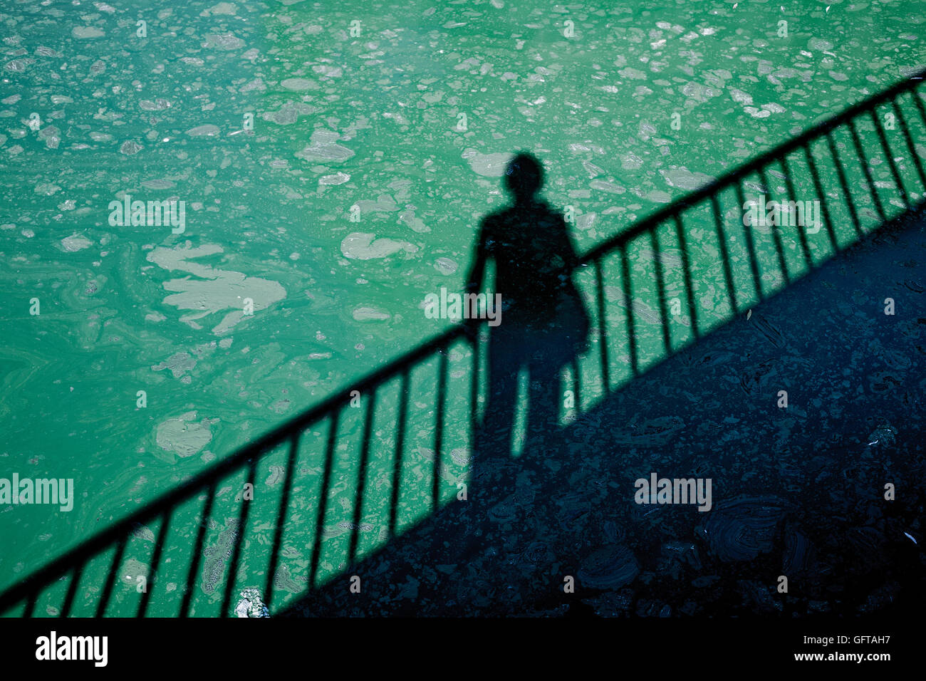 A man casting shadow on dirty green toxic water contaminated with algae Stock Photo