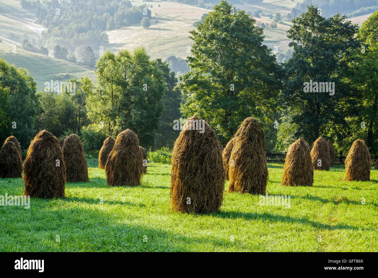 Stacks of hay, haymaking, Beskidy mountains, Poland. Stock Photo