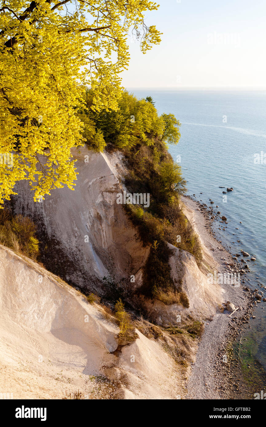 Chalk cliff Jasmund National Park, Rügen, Germany, Unesco World Heritage. Stock Photo