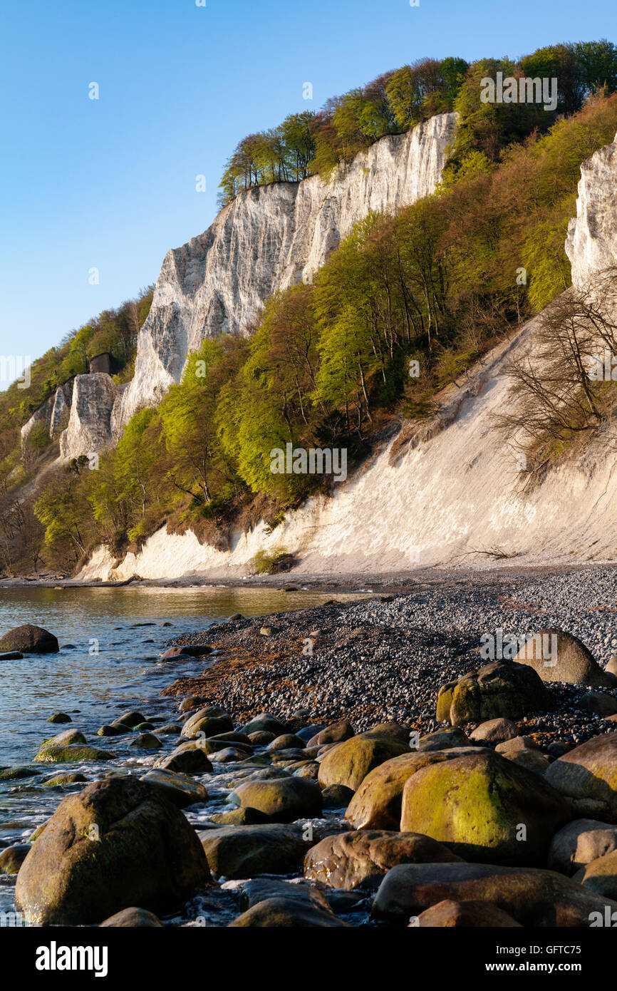 Koenigstuhl hi-res stock photography and images - Alamy