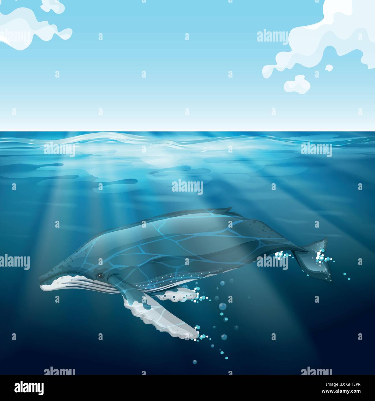 Whale swimming under the blue sea illustration Stock Vector Image & Art ...