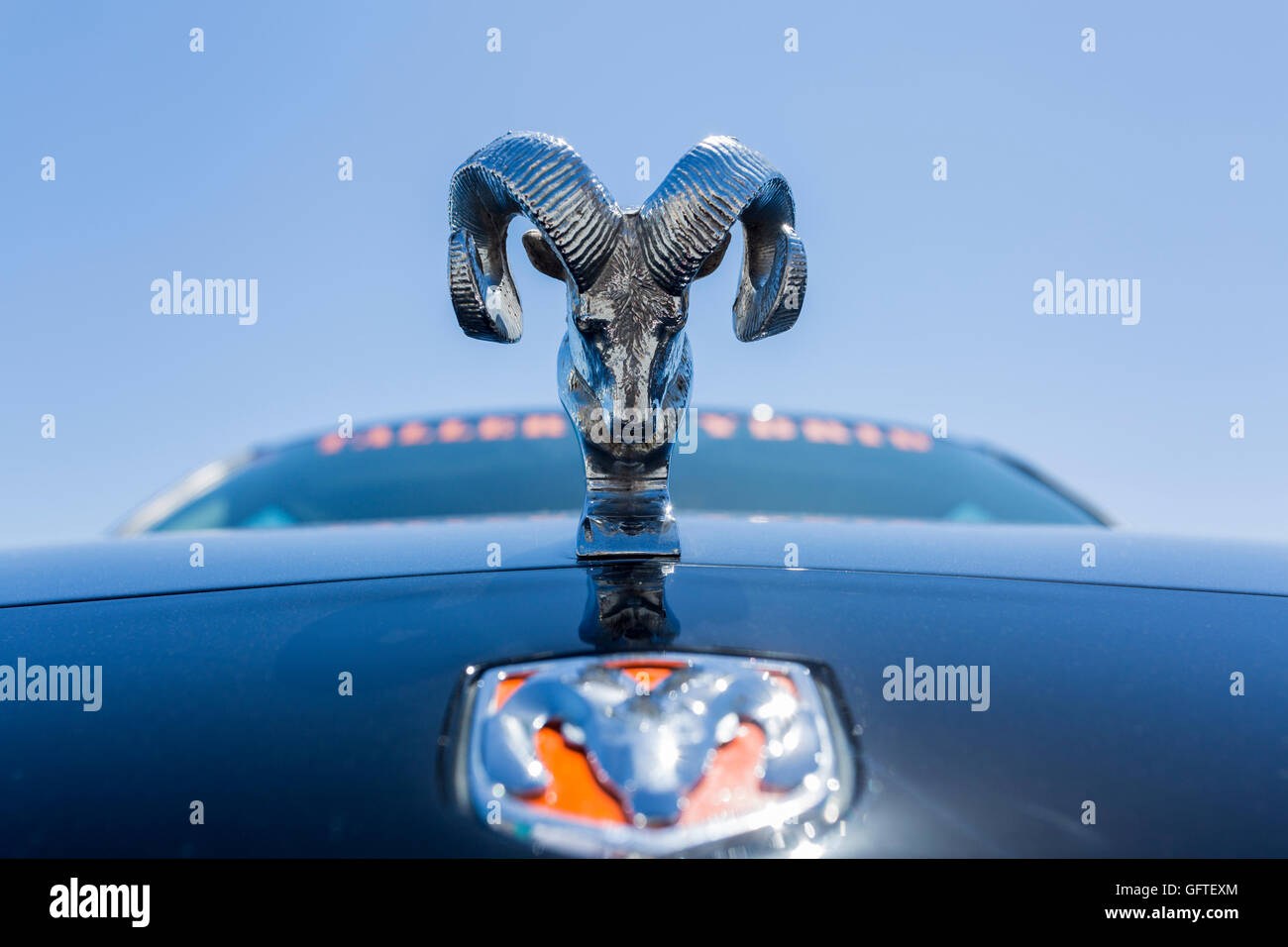 Dodge Ram head badge on bonnet of a car Stock Photo - Alamy