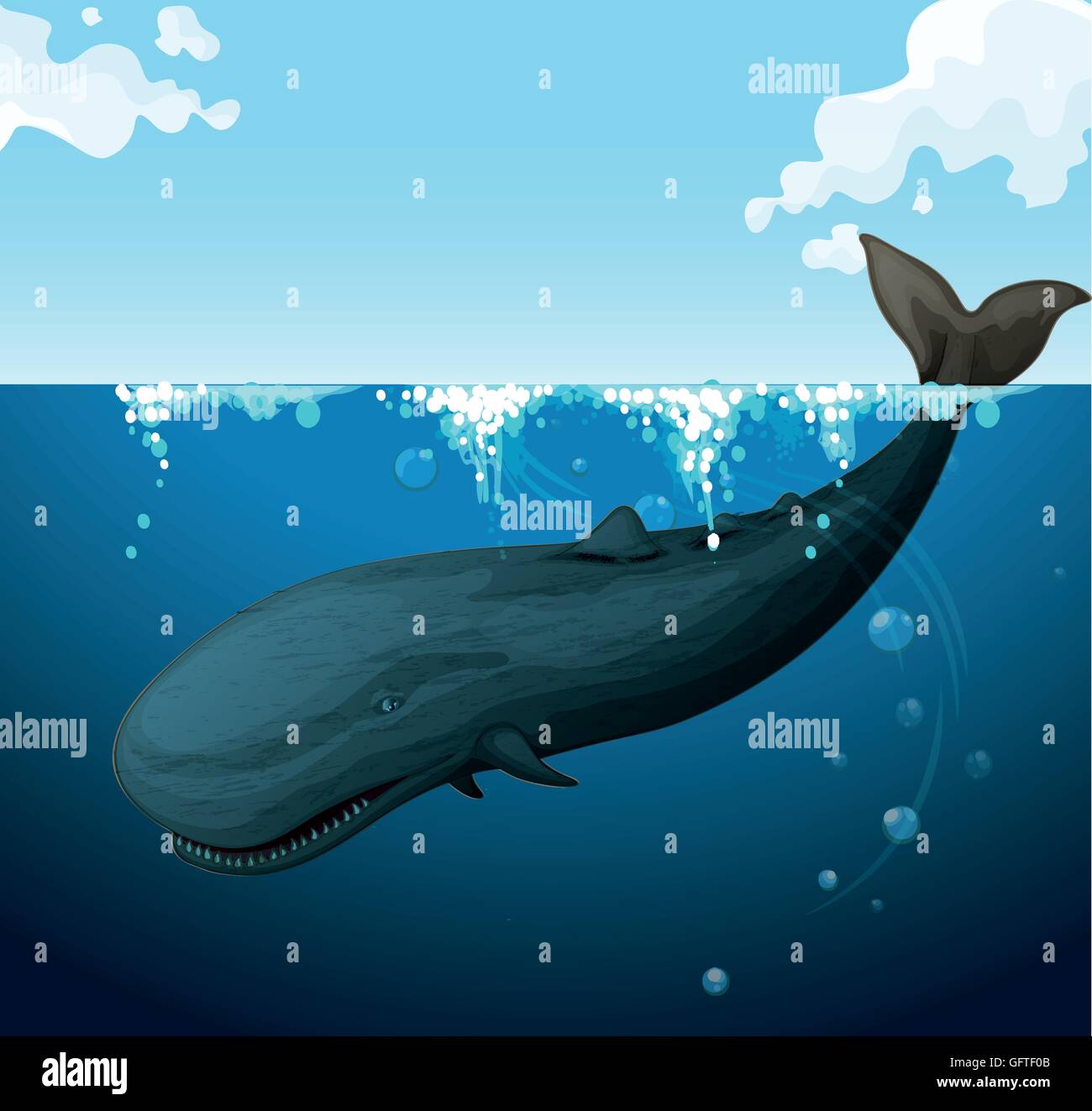 Whale swimming under the sea illustration Stock Vector Image & Art - Alamy