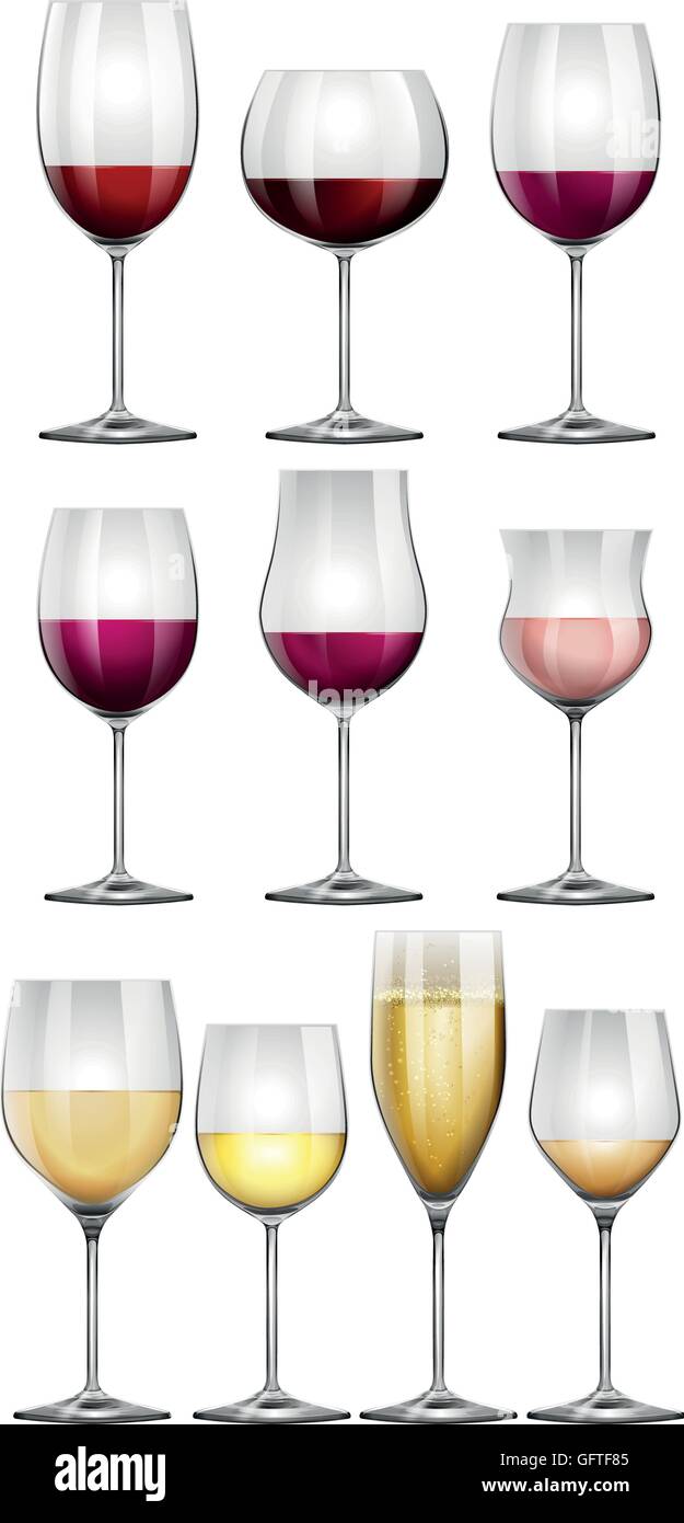 a set of glasses of different shapes with a variety of wines and light  alcoholic beverages. Names for proper serving Stock Vector Image & Art -  Alamy