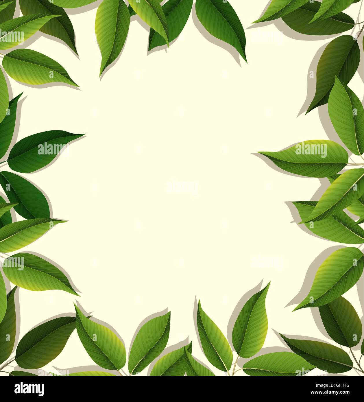 Frame design with green leaves illustration Stock Vector Image & Art ...