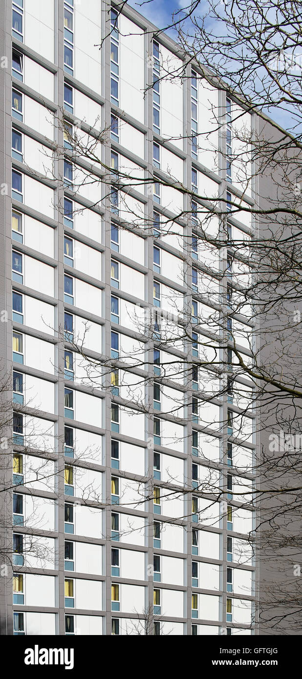 Graphic facade detail with tree branches. Leeds Central Village, Leeds, United Kingdom. Architect: John McAslan & Partners, 2015. Stock Photo