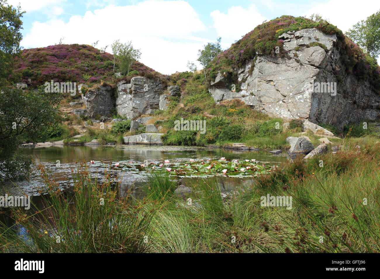 Haytor disused granite quarry, Dartmoor National Park, Devon, England