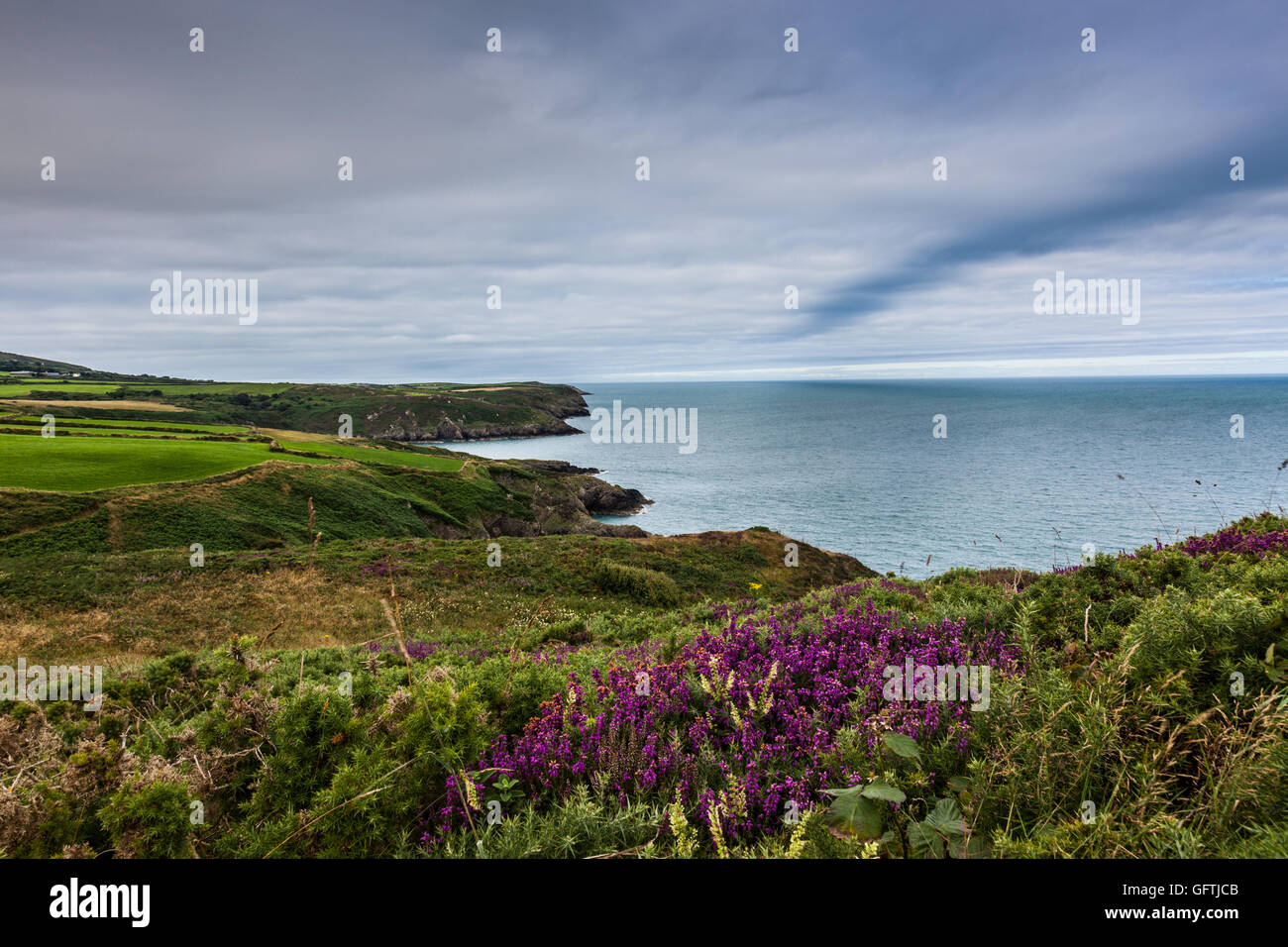 Goodwick coast path hi-res stock photography and images - Alamy