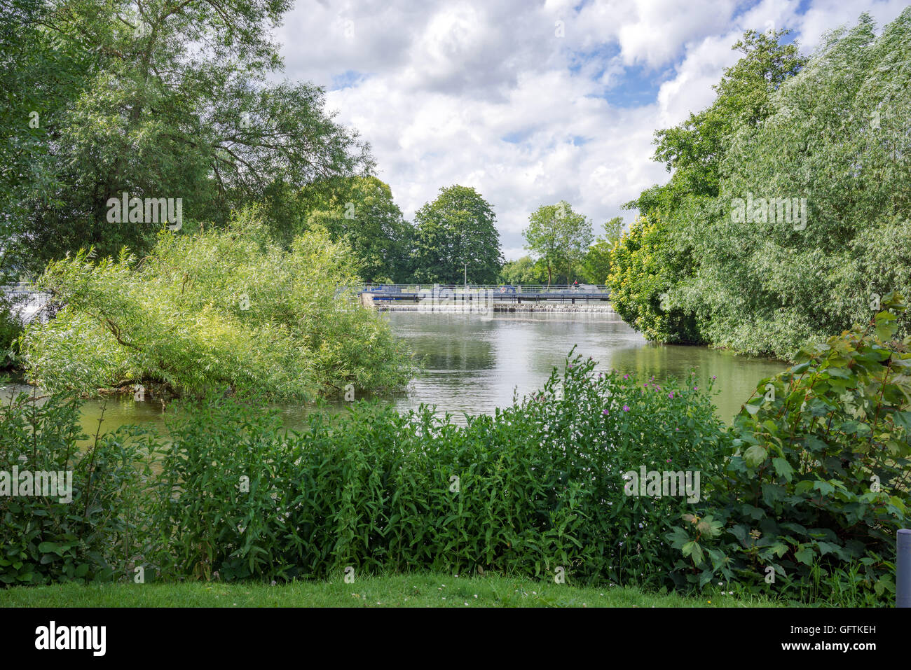 The River Thames at Pangbourne in Berkshire Stock Photo