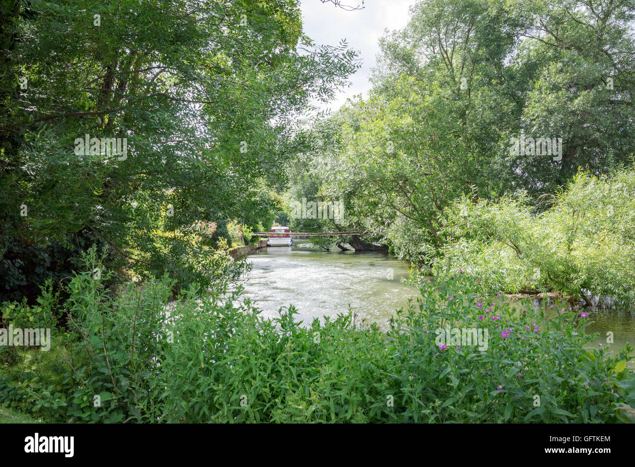 The River Thames at Pangbourne in Berkshire Stock Photo