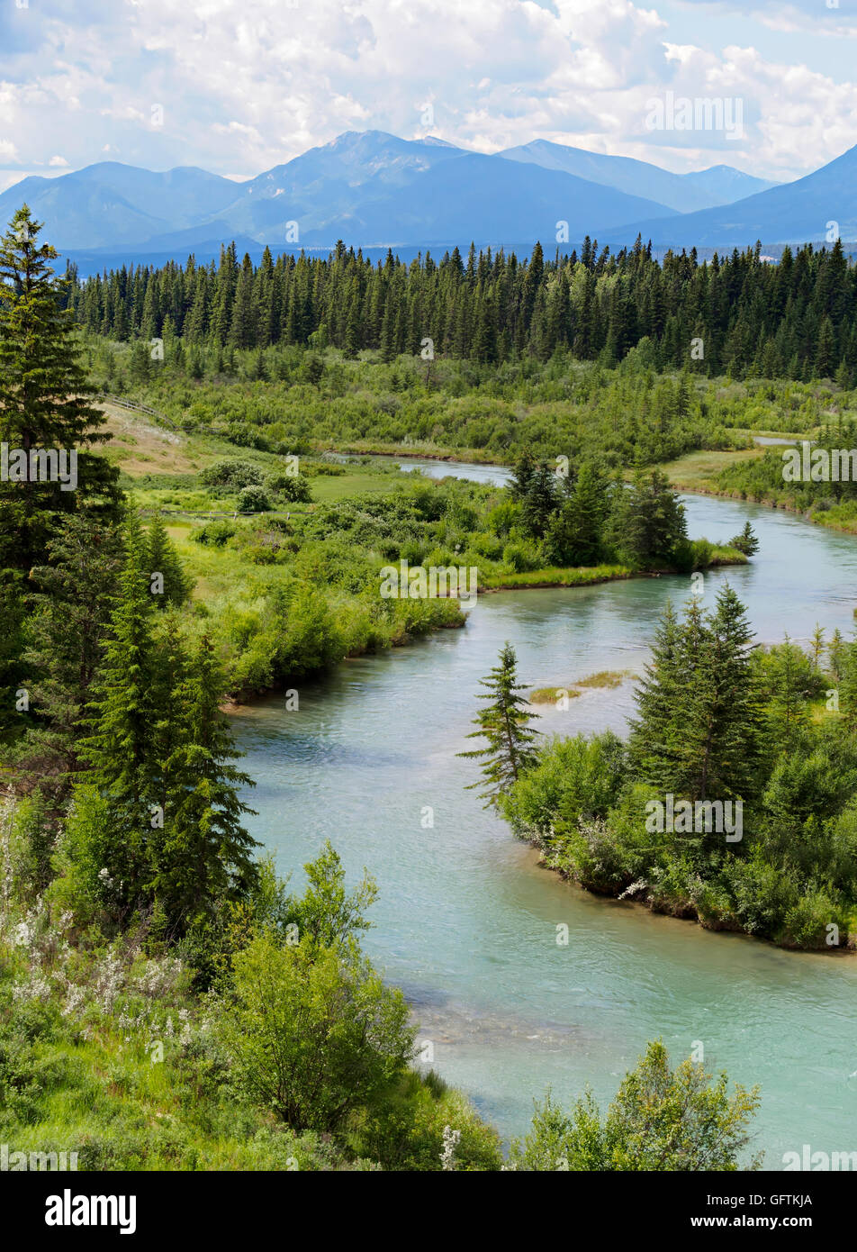 Columbia River Valley, British Columbia, Canada.  The headwaters of the Columbia River south of Windermere Lake and Invermere Stock Photo