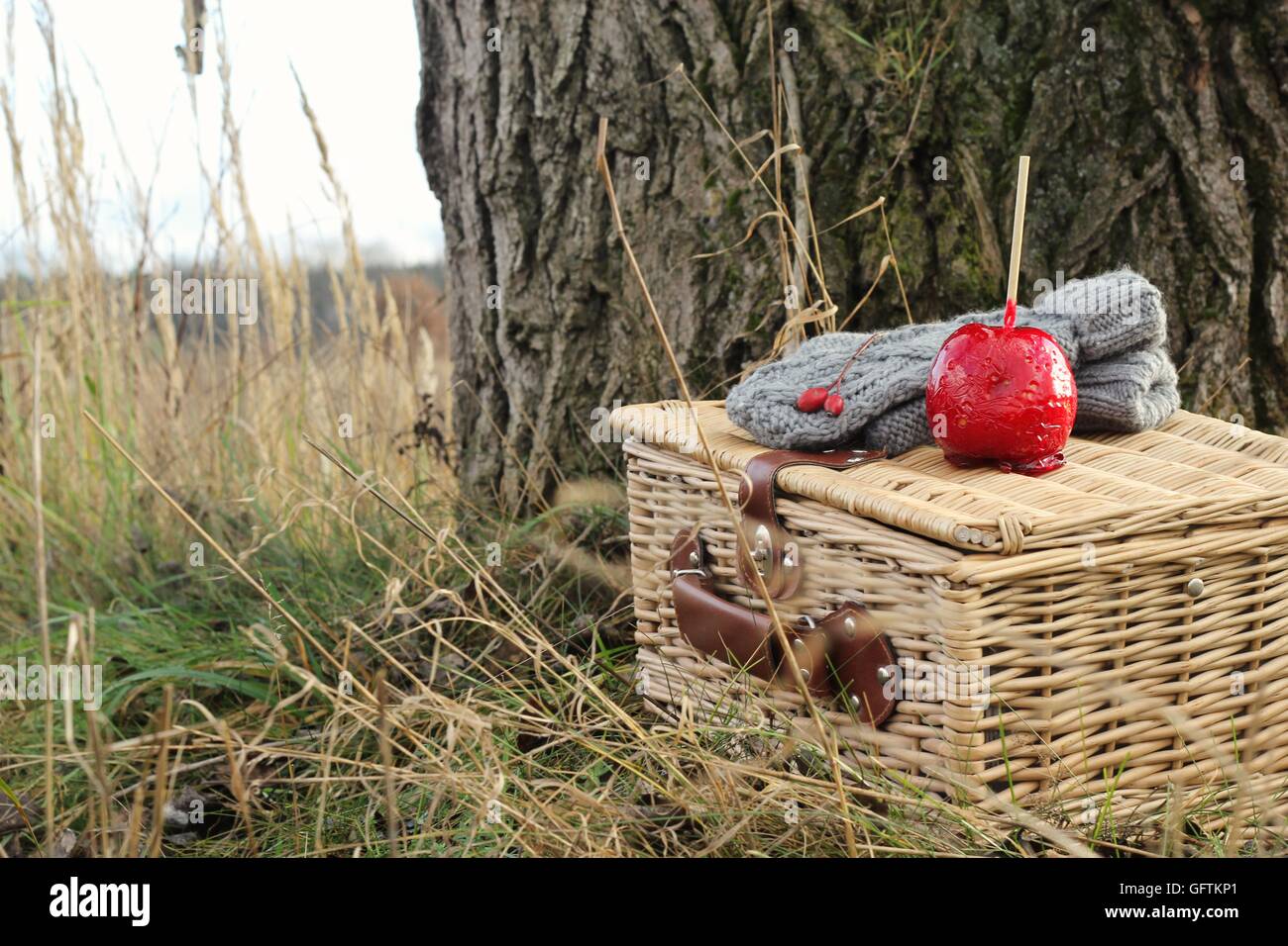 Vintage Picnic Hi Res Stock Photography And Images Alamy