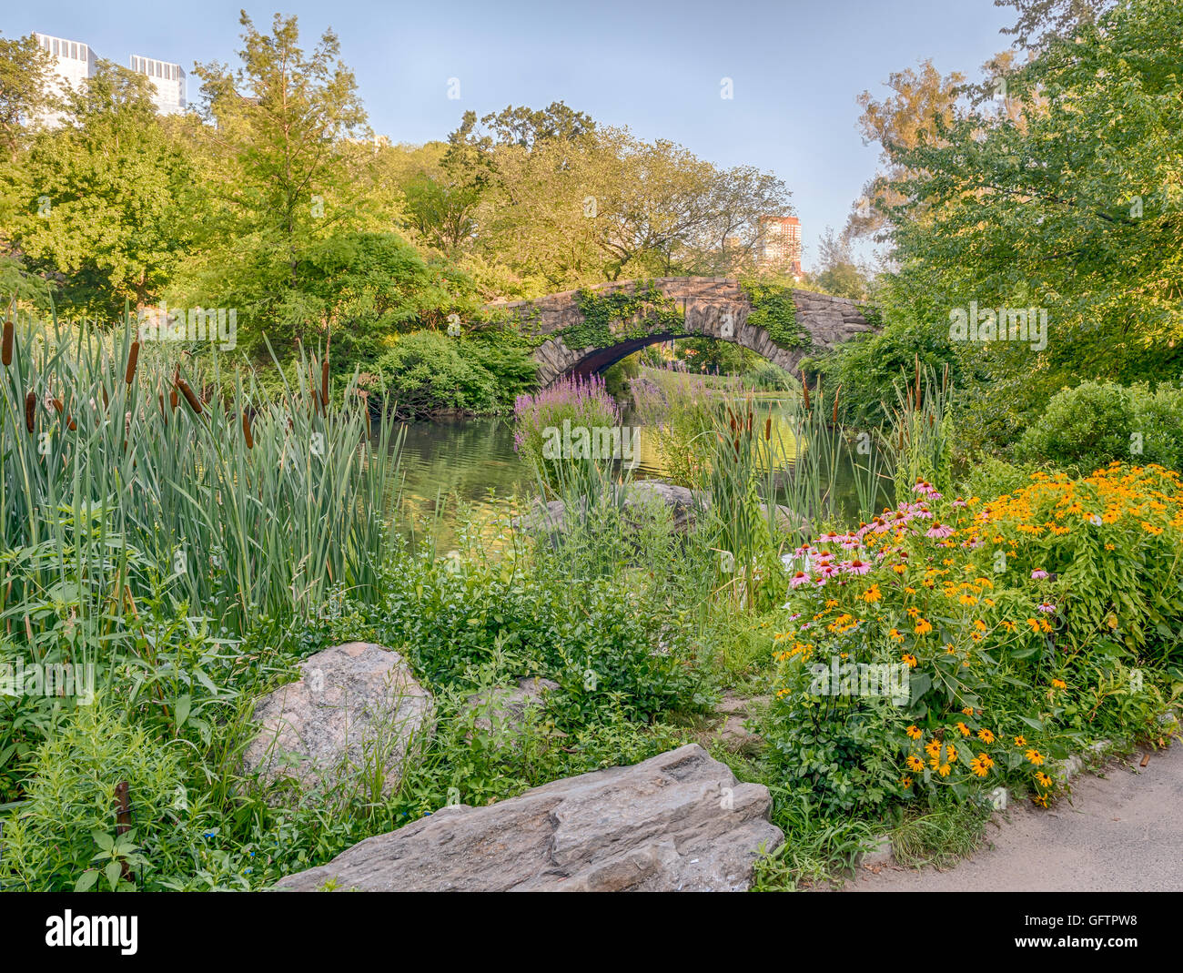 Gapstow bridge in Central Park on pond with flowers in summer in early morning Stock Photo