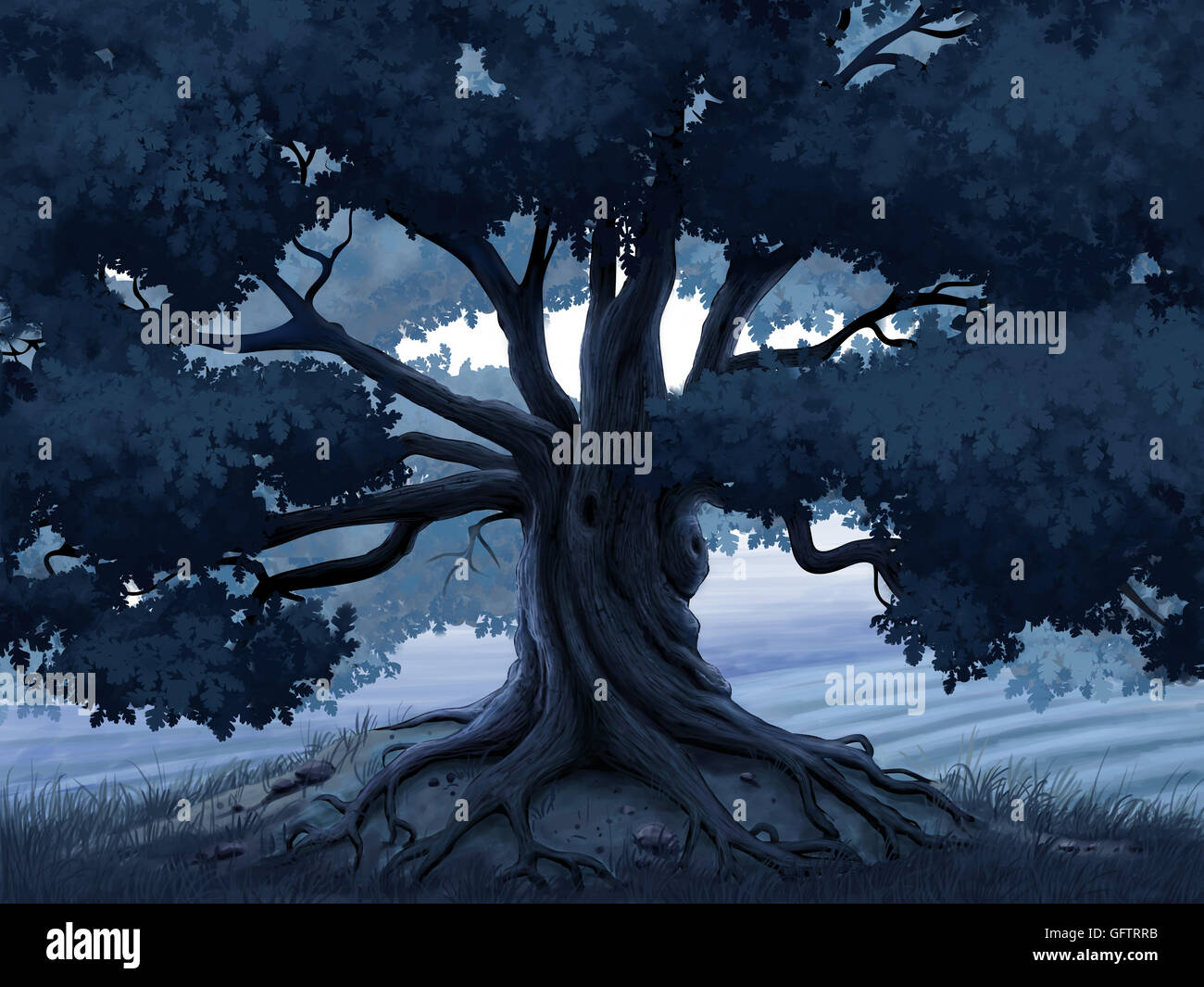 Digital Illustration Old Oak Tree High Resolution Stock Photography and ...