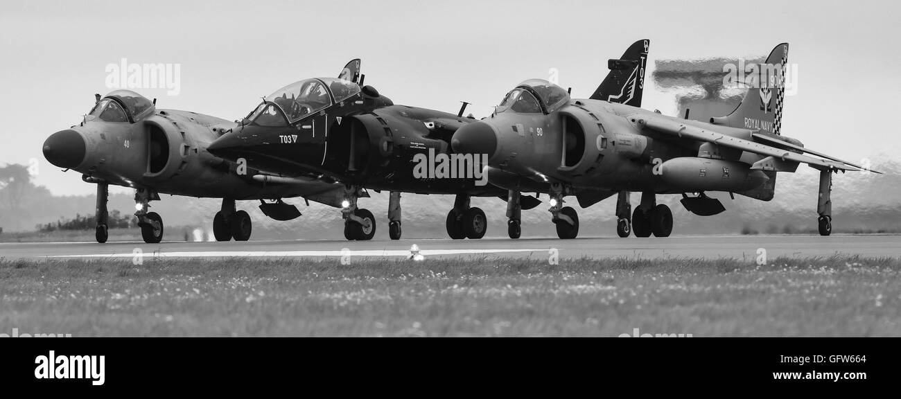 Sea Harriers at RNAS Culdrose Air Day 2016 Stock Photo