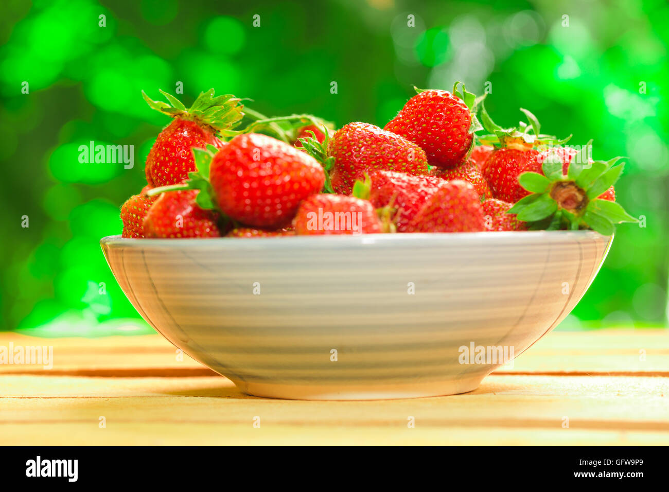 fresh strawberries in a blue plate on a blurred background Stock Photo ...