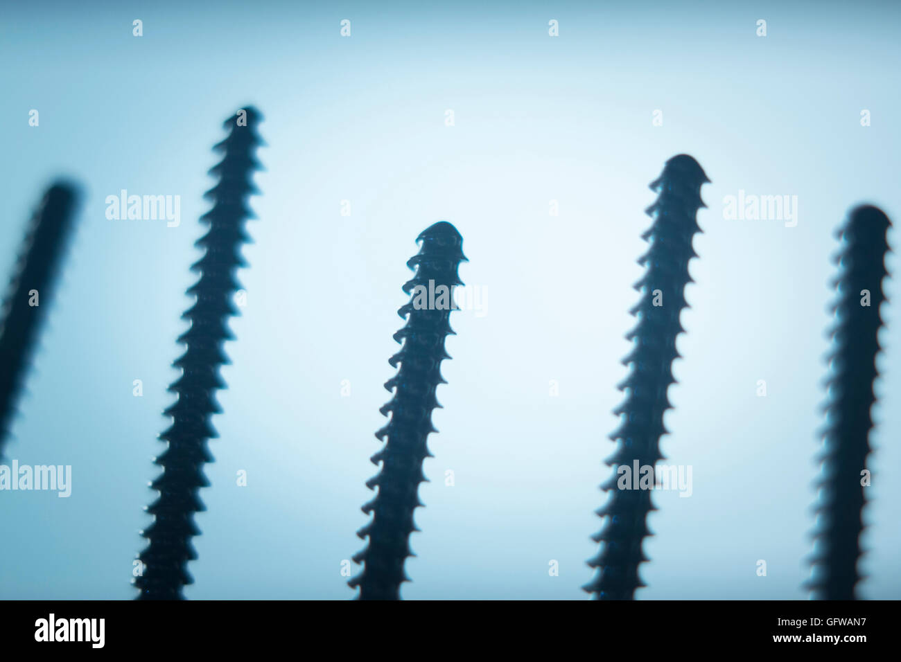 Orthopedics and Traumatology surgery plate & screws surgical titanium metal implant closeup