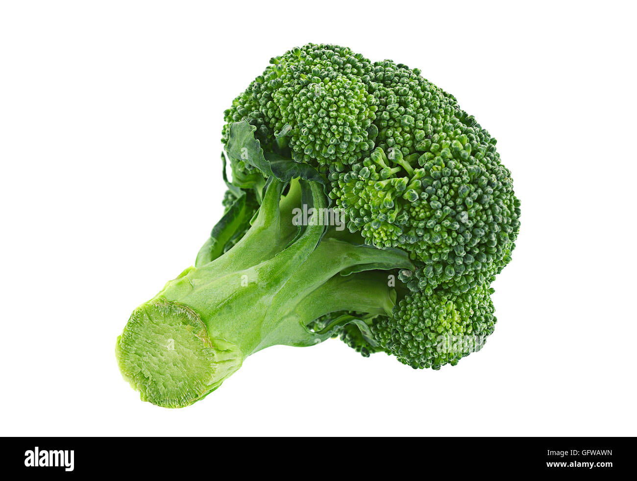 Mini broccoli cabbage vegetable isolated on white background Stock ...