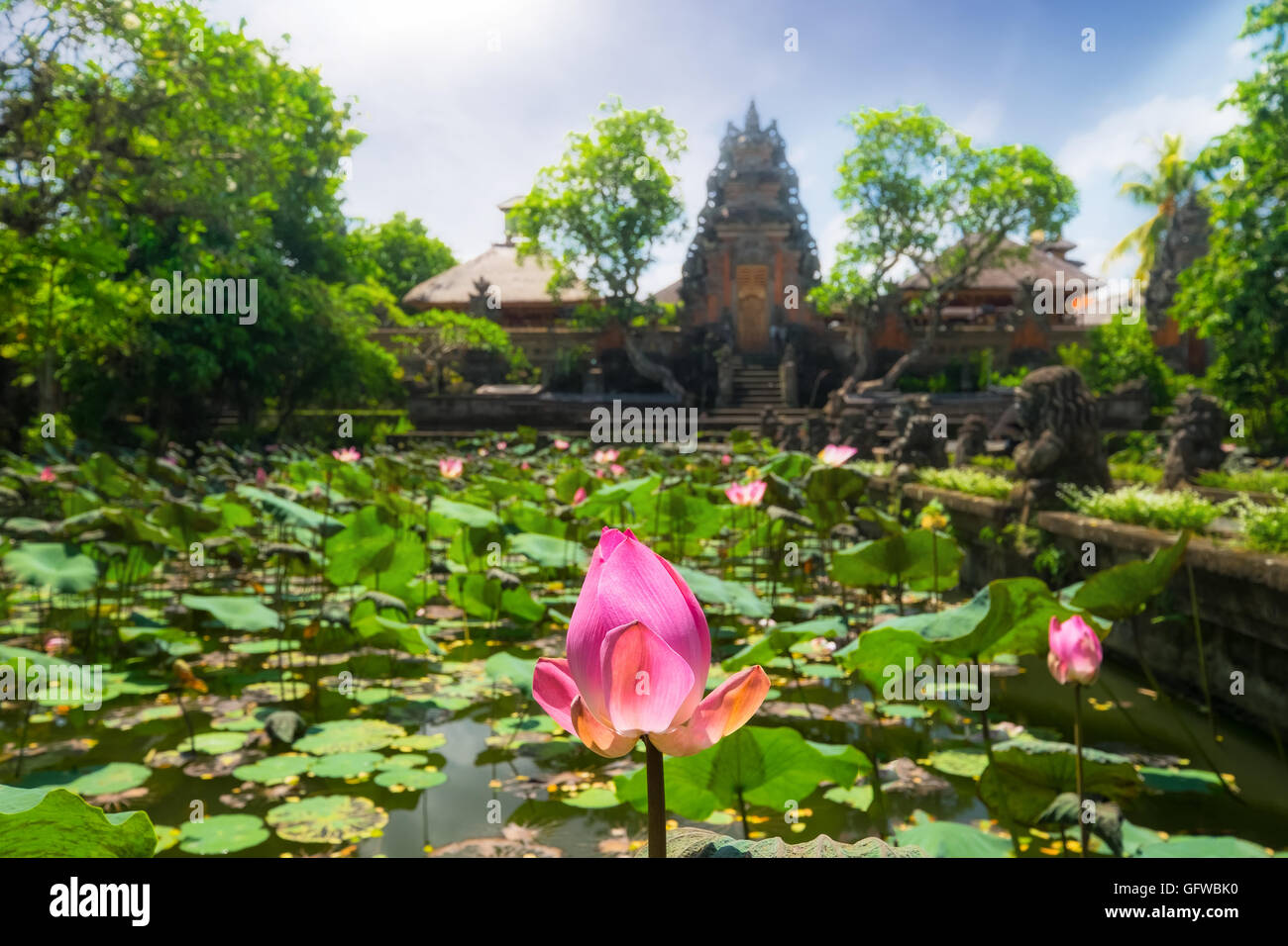 Amazing view of pond with lotus flowers near Pura Saraswati Hindu temple in Ubud, Bali, Indonesia Stock Photo