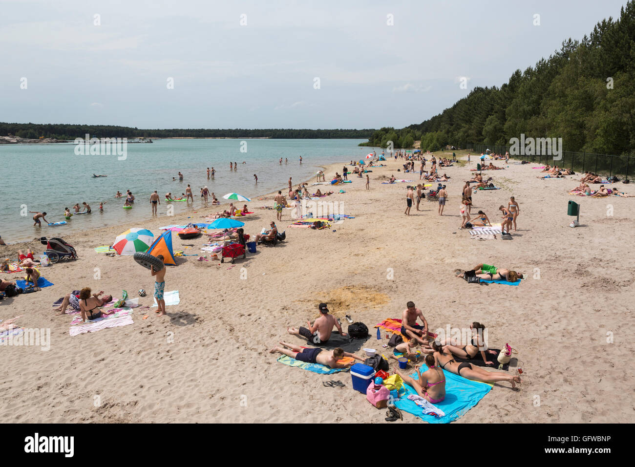 Sunbathing and swimming people at a lake in Belgium in Europe Stock