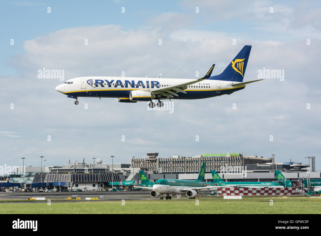 Ryanair plane landing with Dublin airport sign visible on the terminal below and with lots of aer lingus planes on the ground. Stock Photo