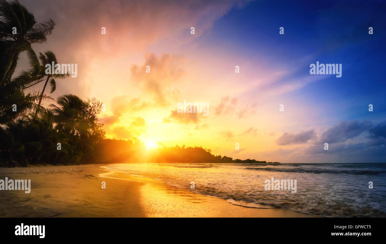 Tropical paradise sunset, with beautiful colors in the sky and on the beach, and silhouettes of palm trees Stock Photo