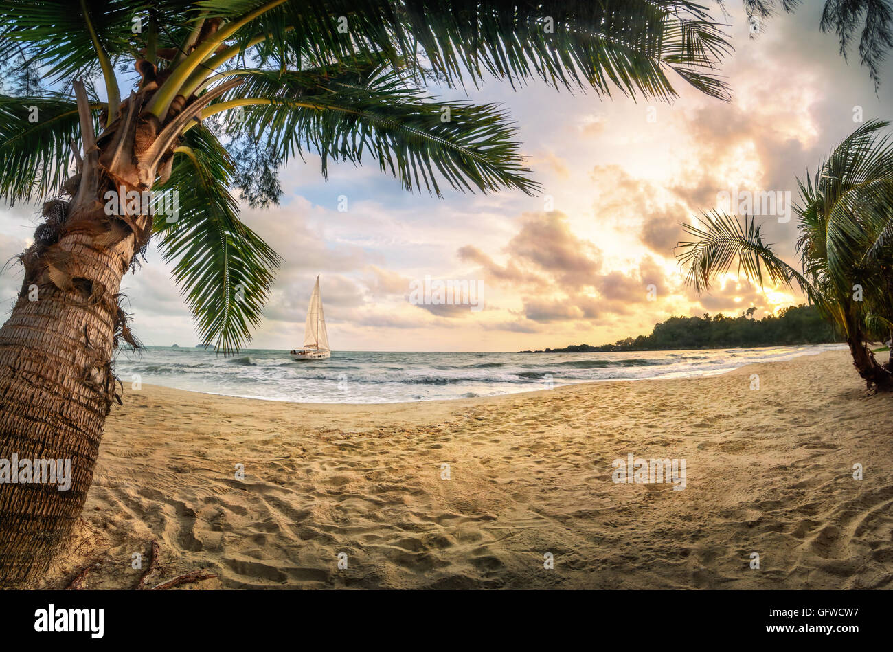 Tropical beach paradise at sunset, with warm-colored sand, palm trees, beautiful clouds and a sailing boat Stock Photo