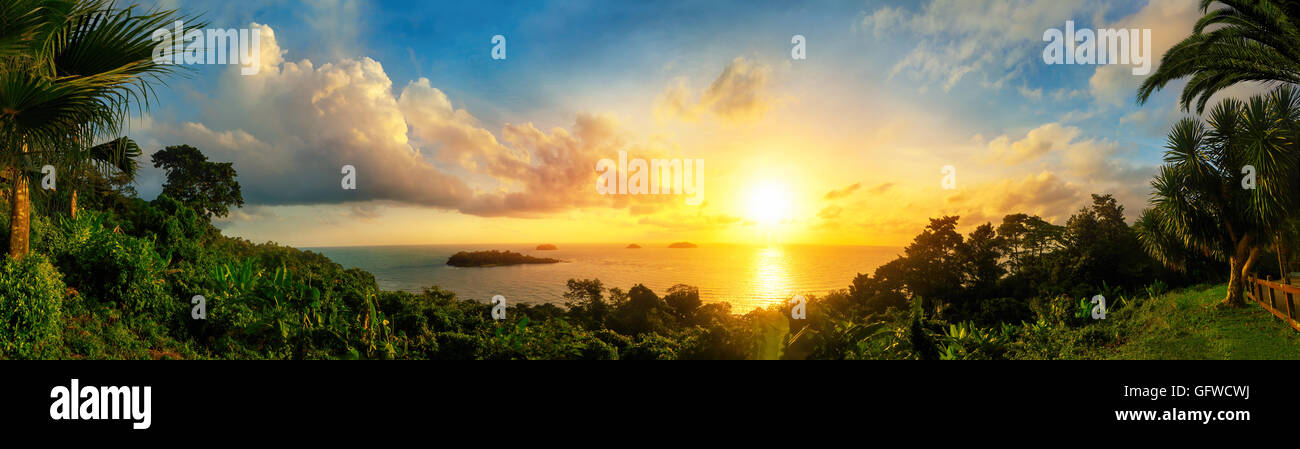 Panorama of a gorgeous colorful sunset at the sea, framed by silhouettes of the coast vegetation Stock Photo
