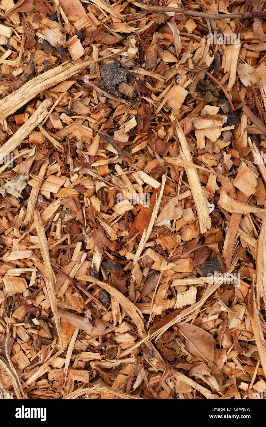 Bark, leaves and wood chippings mulch as an abstract coarse background texture Stock Photo