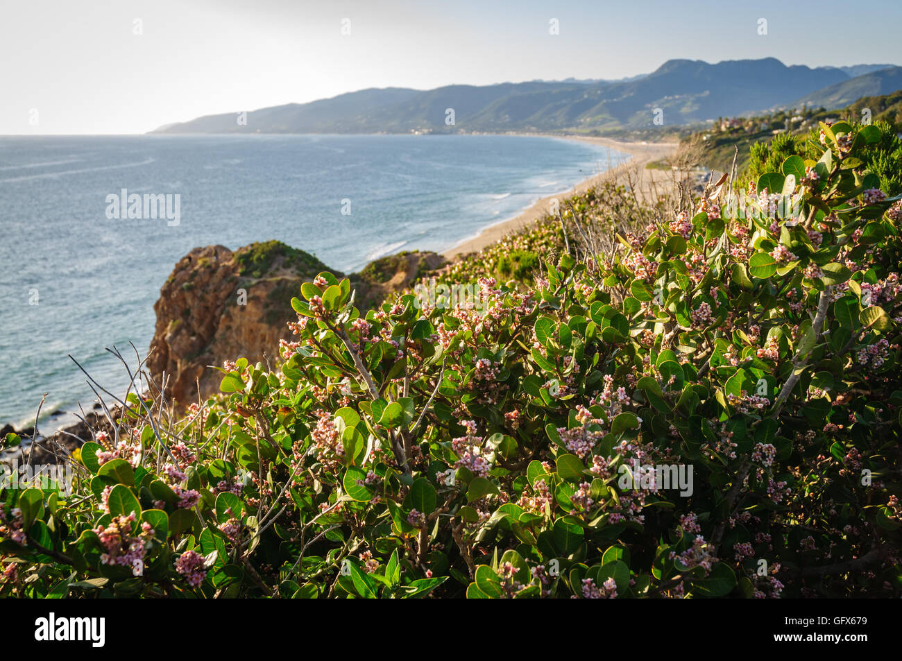 Point Dume State Beach Stock Photo