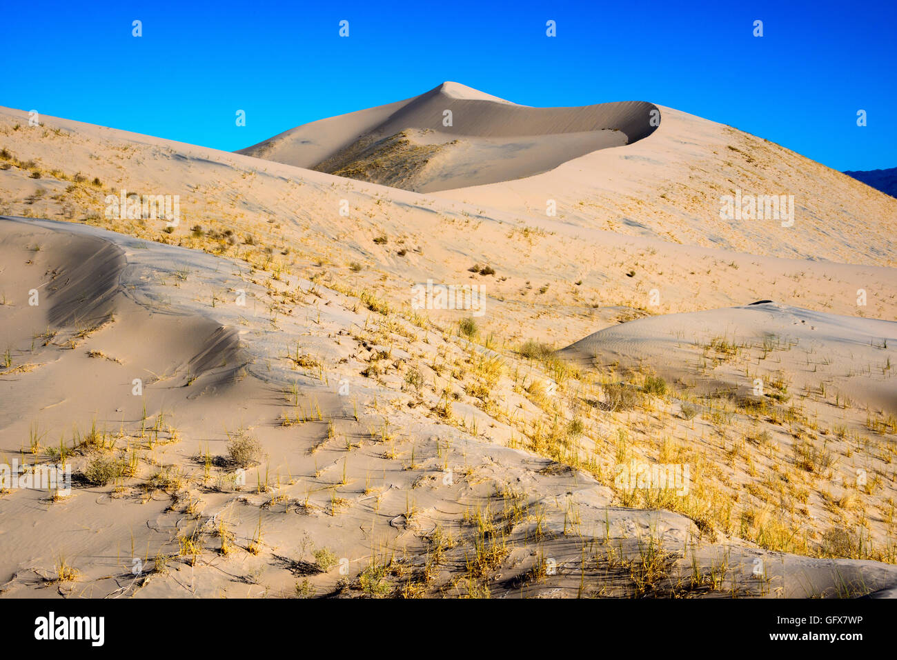 Mojave National Preserve Stock Photo