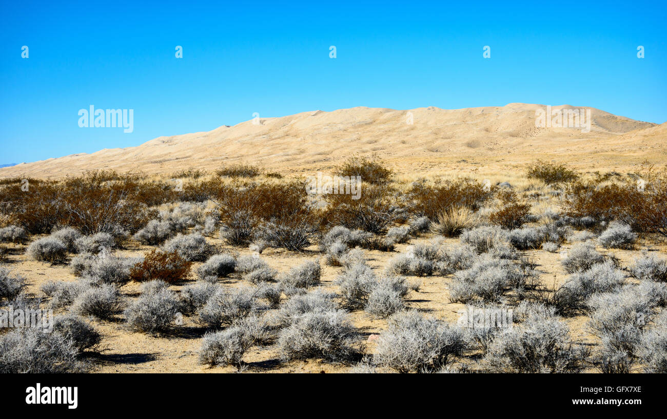 Mojave National Preserve Stock Photo