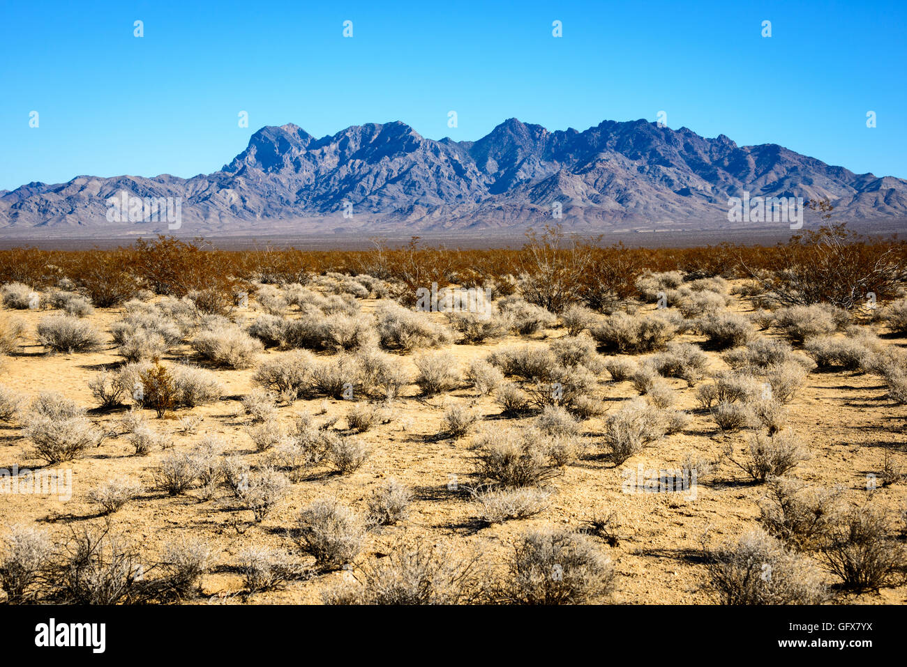 Mojave National Preserve Stock Photo