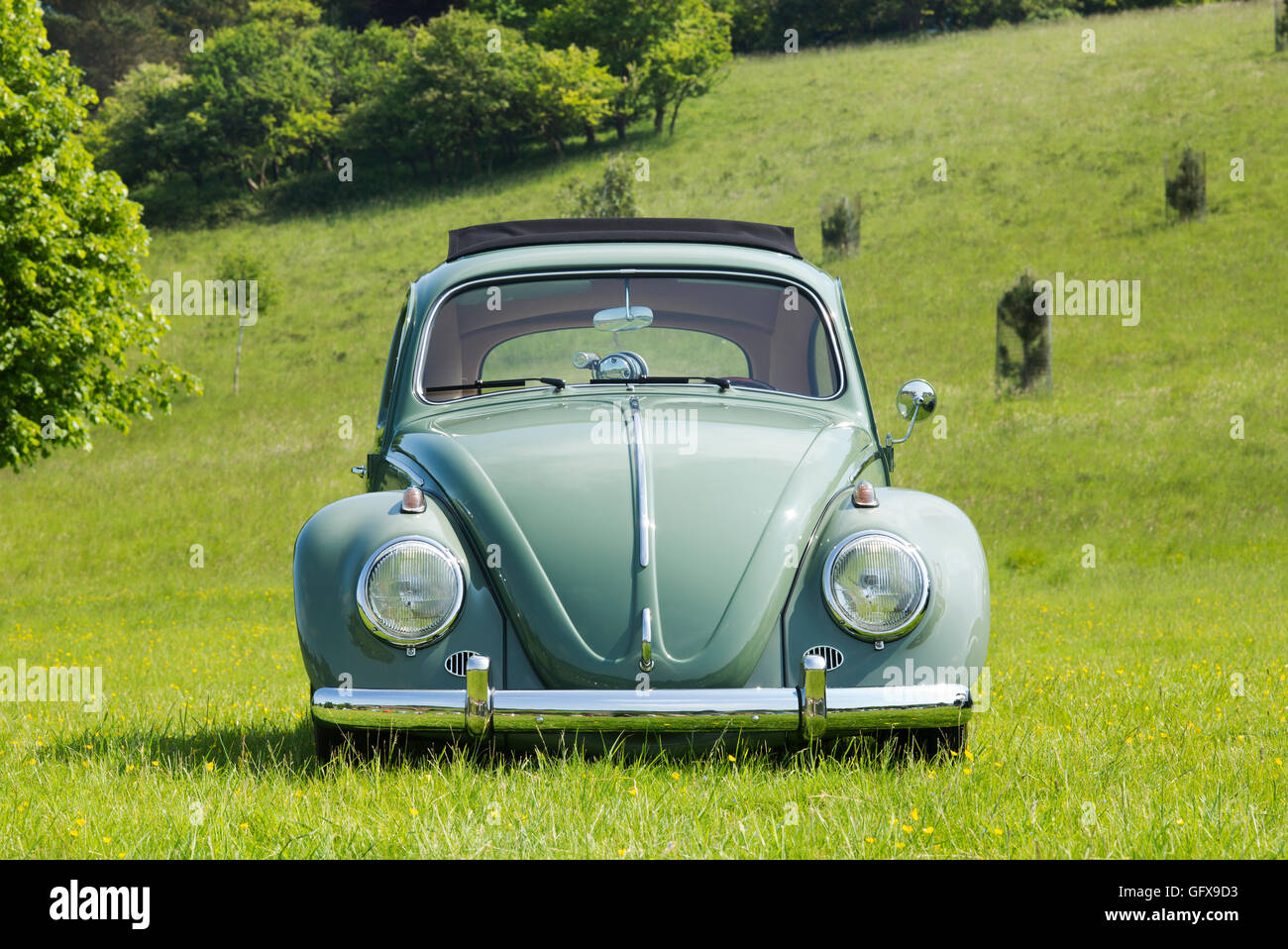 VW Beetle car at a VW show. Oxfordshire, England Stock Photo