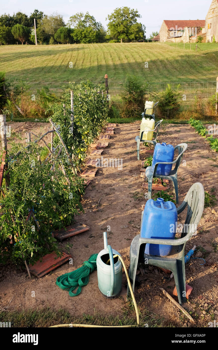 Allotment with home made watering system in heatwave in Le Lot  of South West Francevegetable allotment Stock Photo
